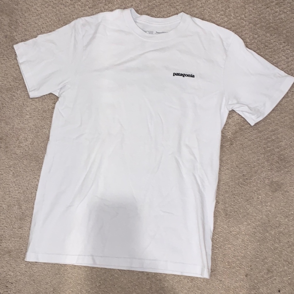 Patagonia t shirt